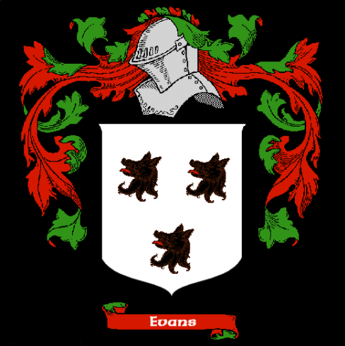 Irish family shield
